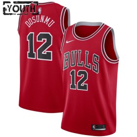 Chicago Bulls Trikot Ayo Dosunmu 12 Nike 2022-23 Icon Edition Rot Swingman - Kinder